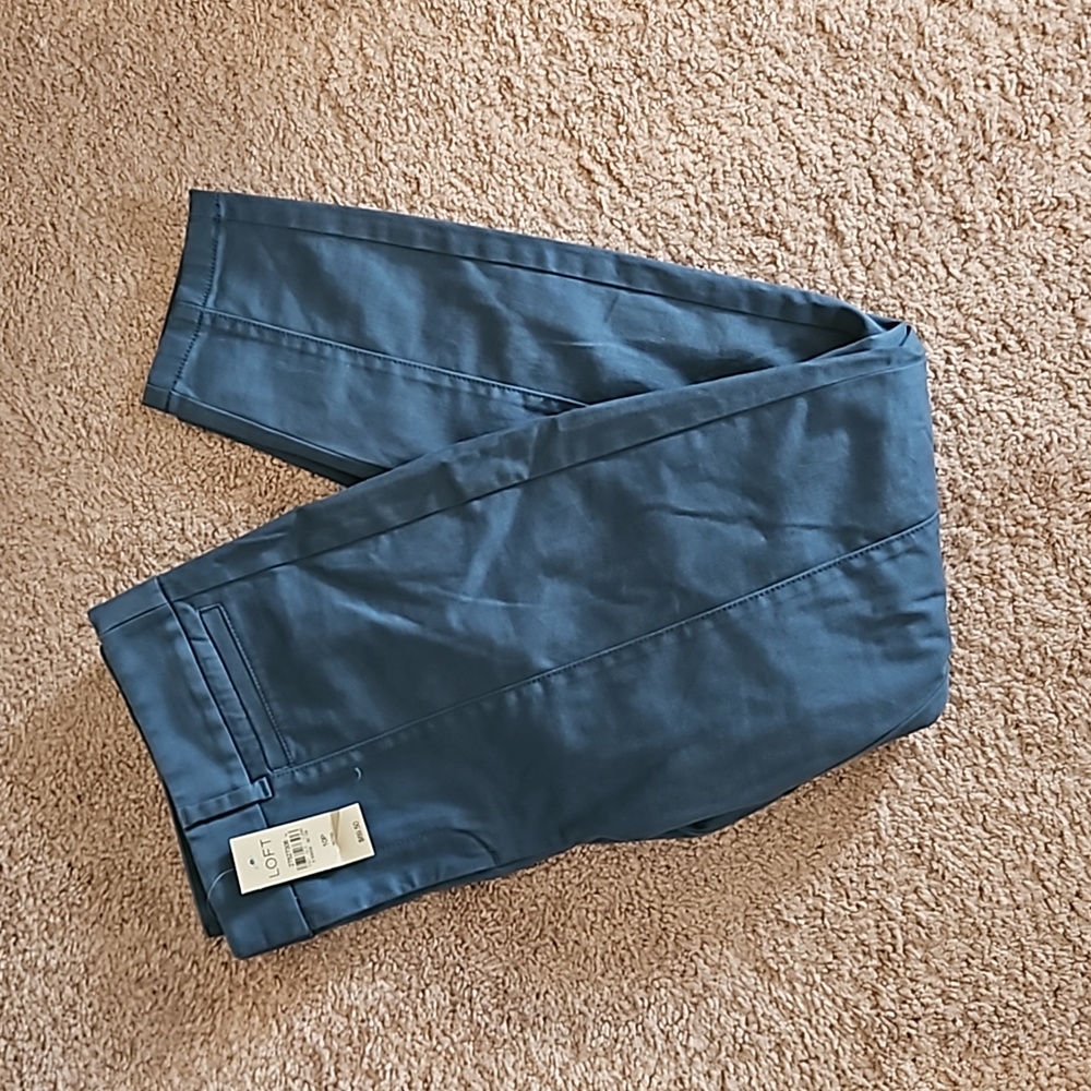 Loft skinny ankle pants - size 10p- new with tags